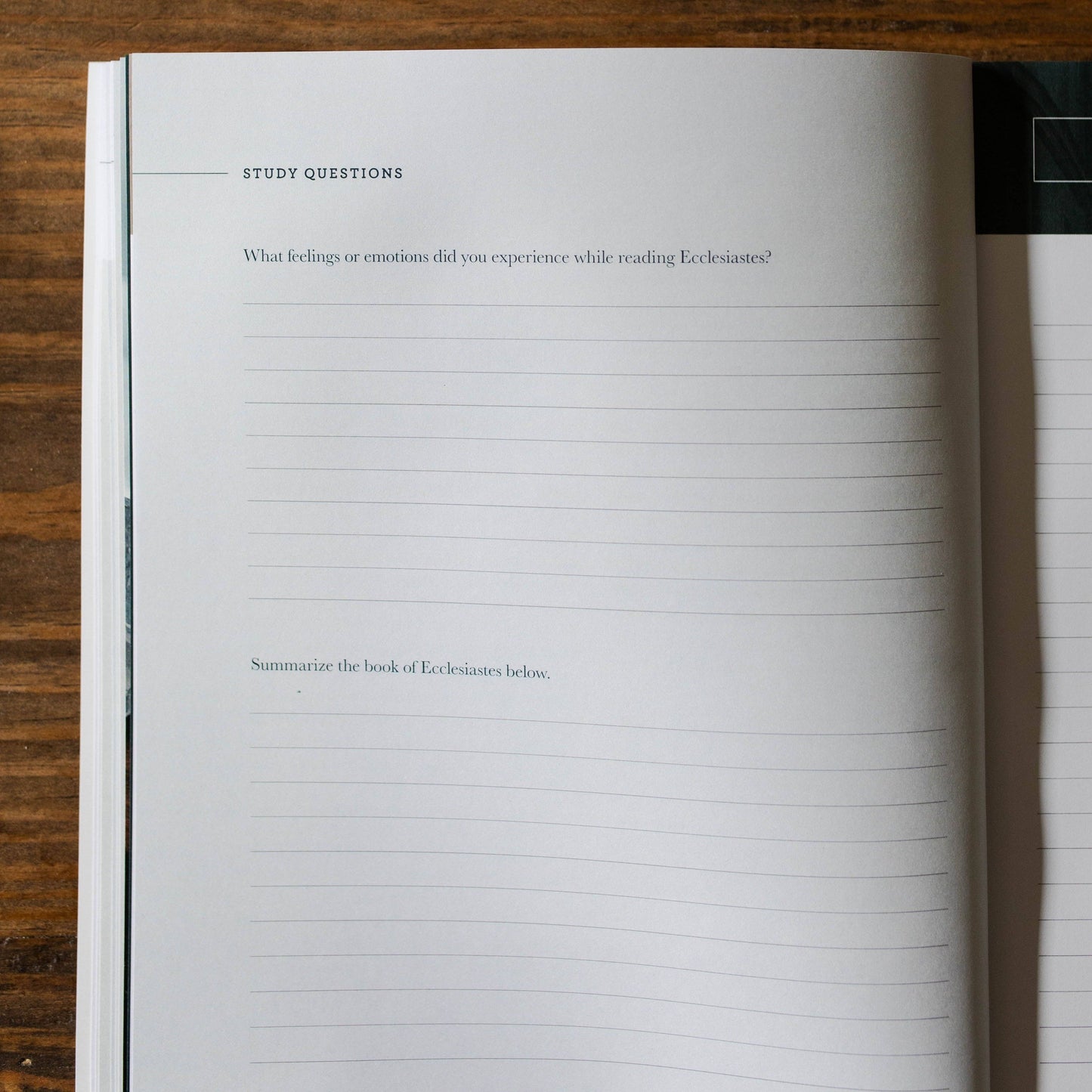 Path to Purpose | A Study on the Book of Ecclesiastes - Men