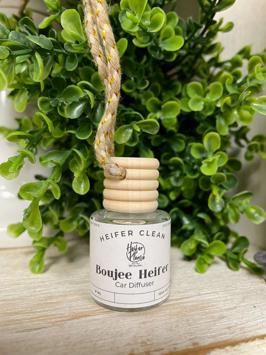 Car Diffusers | Winter Collection