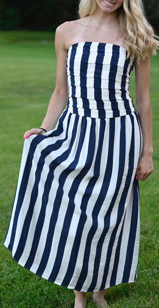 Picnic in Pecos Navy Dress