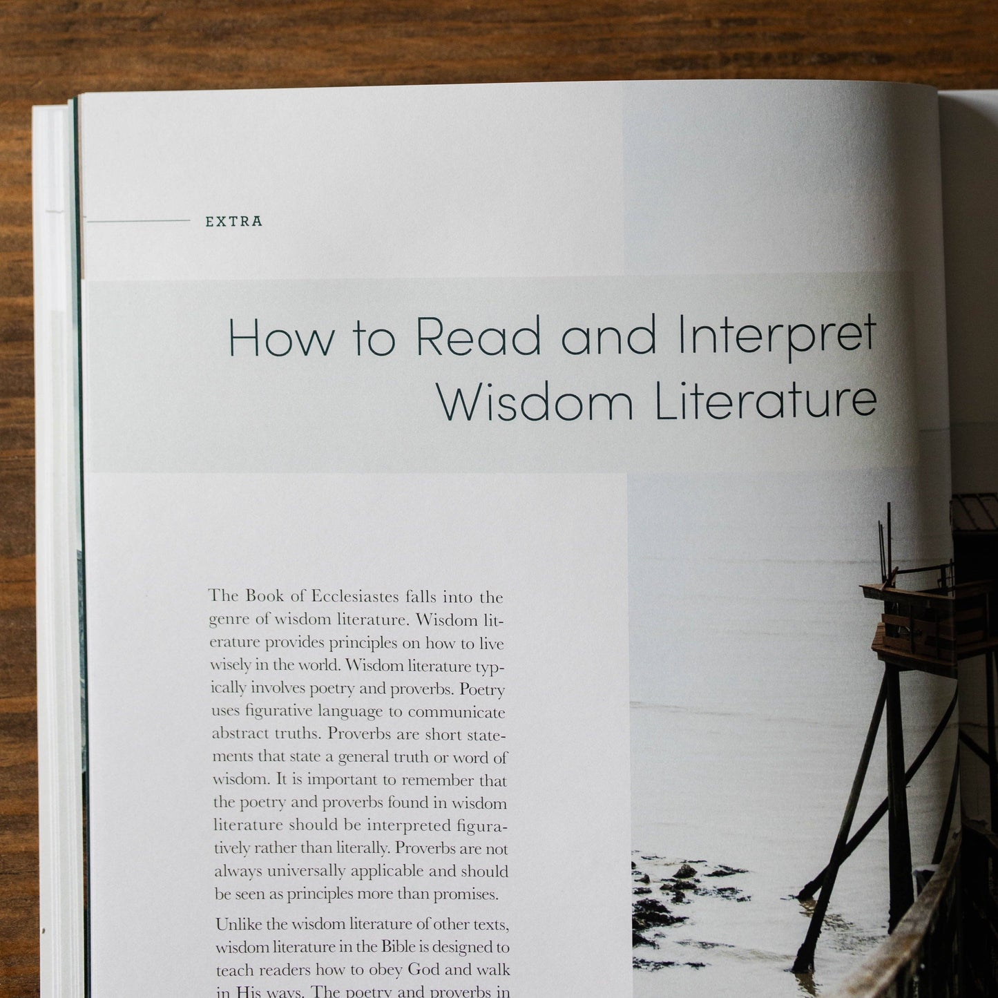 Path to Purpose | A Study on the Book of Ecclesiastes - Men